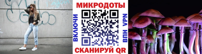 mega зеркало  Муром  Псилоцибиновые грибы Psilocybe 