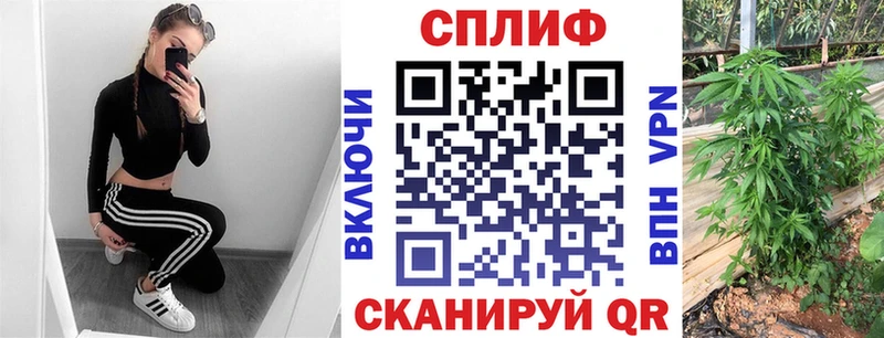 Каннабис SATIVA & INDICA  Муром 